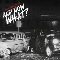 Peacocks The - And Now What? (Coloured Vinyl Lp) in the group VINYL / Upcoming releases / Pop-Rock at Bengans Skivbutik AB (5566784)