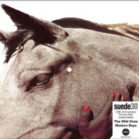 Suede - The Wild Ones (30Th Anniversary Edi in the group VINYL / Upcoming releases / Pop-Rock at Bengans Skivbutik AB (5567988)