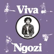 Paul  Ngozi - Viva Ngozi (Opaque Orange Vinyl) (Rsd) in the group OUR PICKS / Record Store Day / RSD BF 2024 at Bengans Skivbutik AB (5568345)