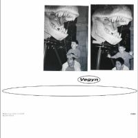 Vegyn - Only Diamonds Cut Diamonds (5 Year in the group OUR PICKS / Friday Releases / Friday the 8th of november 2024 at Bengans Skivbutik AB (5568506)