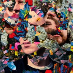 Waldo's Gift - Malcom's Law in the group OTHER / Övrigt / at Bengans Skivbutik AB (5568888)