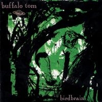 Buffalo Tom - Birdbrain in the group VINYL / Upcoming releases / Pop-Rock at Bengans Skivbutik AB (5569207)