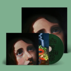 Panda Bear - Sinister Grift in the group OTHER / Övrigt / at Bengans Skivbutik AB (5569477)