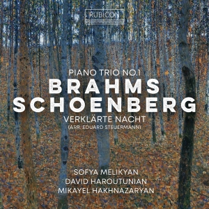Sofya Melikyan & David Haroutunian & Mikayel Hakhnazaryan - Brahms: Piano Trio No. 1 - Schoenberg: Verklärte Nacht (Arr. Eduard Steuermann) in the group OTHER / Övrigt / at Bengans Skivbutik AB (5569609)