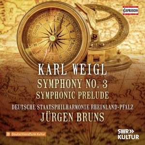 Deutsche Staatsphilharmonie Rheinla - Weigl: Symphony No. 3 Symphonic Pr in the group CD / Upcoming releases / Classical at Bengans Skivbutik AB (5570605)