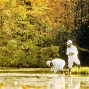 Hedningarna - Hippjokk in the group CD / Pop-Rock,Svensk Musik,World Music at Bengans Skivbutik AB (557087)