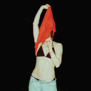 Shoemaker Anna - Someone Should Stop Her in the group OTHER / Övrigt / at Bengans Skivbutik AB (5571538)