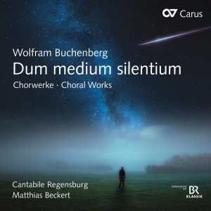 Wolfram Buchenberg - Wolfram Buchenberg - Dum Medium Sil in the group OUR PICKS / Christmas gift tip CD at Bengans Skivbutik AB (5572346)