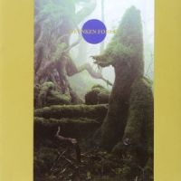 Death Ambient - Drunken Forest in the group CD / Jazz at Bengans Skivbutik AB (5572464)