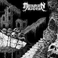 Mutilation Rites - Chasm in the group VINYL / Hårdrock at Bengans Skivbutik AB (5572551)