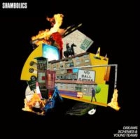 Shambolics - Dreams, Schemes & Young Teams in the group CD / Pop-Rock at Bengans Skivbutik AB (5573607)