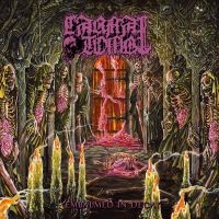 Carnal Tomb - Embalmed In Decay in the group CD / Upcoming releases / Hårdrock at Bengans Skivbutik AB (5576721)