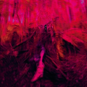 Rebel Wizard - Magickal Mystical Indifference in the group OTHER / Övrigt / at Bengans Skivbutik AB (5577168)