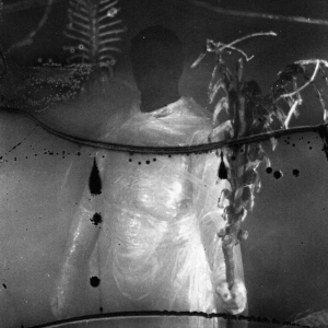 Vile Creature - Preservation Rituals (2015 - 2018) in the group CD / Hårdrock at Bengans Skivbutik AB (5577169)