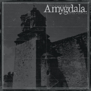 Amygdala - Our Voices Will Soar Forever in the group OTHER / Övrigt / at Bengans Skivbutik AB (5577181)