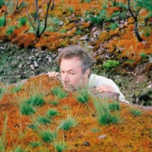 Fabiola - The Mushroom Type in the group CD / Pop-Rock at Bengans Skivbutik AB (5577489)