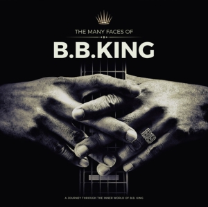 Various Artists - Many Faces Of B.B. King The (2 Lp G in the group VINYL / Blues at Bengans Skivbutik AB (5577993)