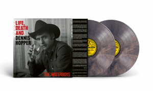 The Waterboys - Life, Death & Dennis Hopper (Psychedelic Waves Colored 2Lp) in the group VINYL / Upcoming releases / Pop-Rock at Bengans Skivbutik AB (5578185)