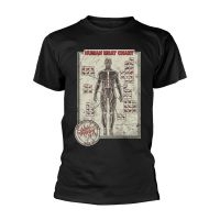 Cattle Decapitation - T/S Human Meat Chart (L) in the group MERCHANDISE / T-shirt / Kommande / Hårdrock at Bengans Skivbutik AB (5578269)