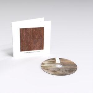 Sandwell District - End Beginnings in the group CD / Pop-Rock at Bengans Skivbutik AB (5578776)