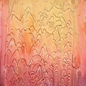 Mount Liberation Unlimited - Welcome To The Jungle in the group OTHER / Övrigt / at Bengans Skivbutik AB (5580148)