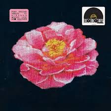 Post Malone - Post Malone Tribute To Nirvana(Rsd2025) in the group VINYL / Pop-Rock at Bengans Skivbutik AB (5582338)
