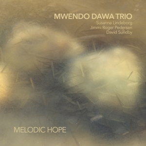 Mwendo Dawa Trio - Melodic Hope in the group CD / Jazz at Bengans Skivbutik AB (5584023)