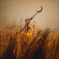 Wolf Patrick - Crying The Neck in the group CD / Pop-Rock at Bengans Skivbutik AB (5584565)