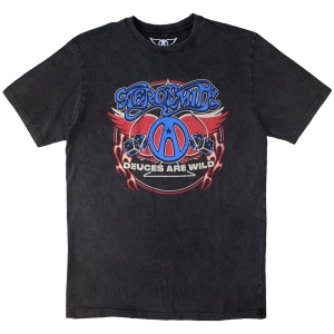 Aerosmith - Rainbow Spade Stone Wash Uni Char T-Shirt in the group MERCHANDISE / T-shirt / Heavy Metal at Bengans Skivbutik AB (5586738r)