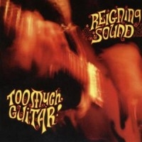 Reigning Sound - Too Much Guitar in the group OUR PICKS / Christmas gift tip CD at Bengans Skivbutik AB (558943)