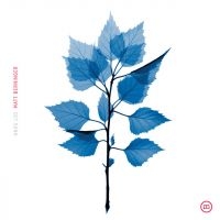 Matt Berninger - Get Sunk in the group CD / Pop-Rock at Bengans Skivbutik AB (5589560)