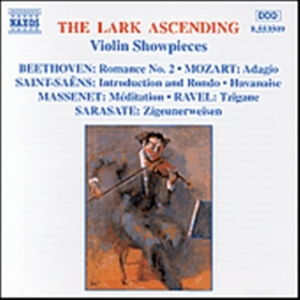 Various - The Lark Ascending in the group Externt_Lager /  at Bengans Skivbutik AB (560134)