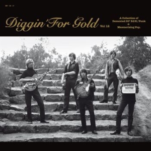 Various Artists - Diggin' For Gold Vol. 12 in the group VINYL / Pop-Rock at Bengans Skivbutik AB (589775)