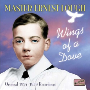 Lough Ernest - Wings Of A Dove in the group OUR PICKS / Christmas gift tip CD at Bengans Skivbutik AB (598584)