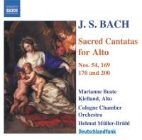 Bach - Alto Cantatas in the group OUR PICKS / Christmas gift tip CD at Bengans Skivbutik AB (603063)