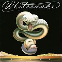 Whitesnake - Trouble in the group OUR PICKS / Christmas gift tip CD at Bengans Skivbutik AB (610180)