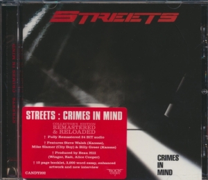 Streets - Crimes In Mind in the group CD / Pop-Rock at Bengans Skivbutik AB (611367)