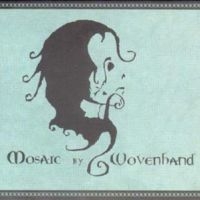 Wovenhand - Mosaic in the group CD / Pop-Rock at Bengans Skivbutik AB (613297)