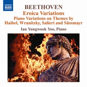 Beethoven - Piano Variations in the group OUR PICKS / Christmas gift tip CD at Bengans Skivbutik AB (620656)