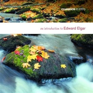 Elgar - An Introduction To in the group OUR PICKS / Christmas gift tip CD at Bengans Skivbutik AB (624482)