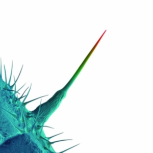 Blandade Artister - And I'll Scratch Yours (Songs By Pe in the group CD / Pop-Rock at Bengans Skivbutik AB (626258)