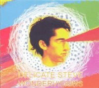 Delicate Steve - Wondervisions in the group CD / Pop-Rock at Bengans Skivbutik AB (631287)