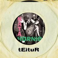 Teitur - Kata Hornid in the group CD / Dansk Musik,Elektroniskt,World Music at Bengans Skivbutik AB (647147)