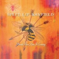 Split Lip Rayfield - Should Have Seen It Coming in the group CD / Pop-Rock at Bengans Skivbutik AB (650245)