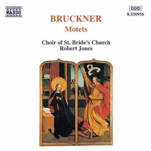 Bruckner Anton - Motets in the group OUR PICKS / Christmas gift tip CD at Bengans Skivbutik AB (653488)