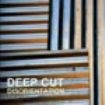 Deep Cut - Disorientation in the group CD / Rock at Bengans Skivbutik AB (671508)