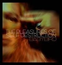 Babybird - Pleasure Of Self Destruction in the group CD / Pop-Rock at Bengans Skivbutik AB (671576)