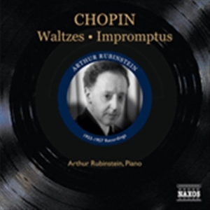 Chopin - Waltzes And  Impromptus in the group OUR PICKS / Christmas gift tip CD at Bengans Skivbutik AB (675099)