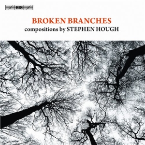 Stephen Hough - Broken Branches in the group OUR PICKS / Christmas gift tip CD at Bengans Skivbutik AB (691656)