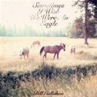 Callahan Bill - Sometimes I Wish We Were An Eagle in the group CD / Pop-Rock at Bengans Skivbutik AB (695781)